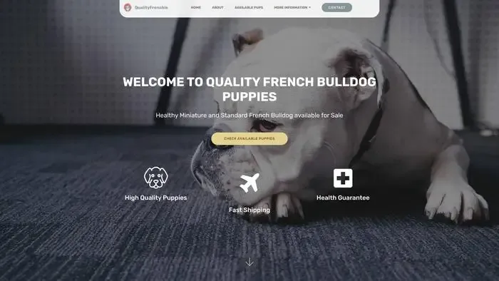 Screenshot of