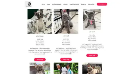 Screenshot of