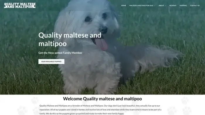 Screenshot of
