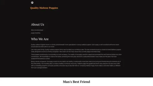 Screenshot of