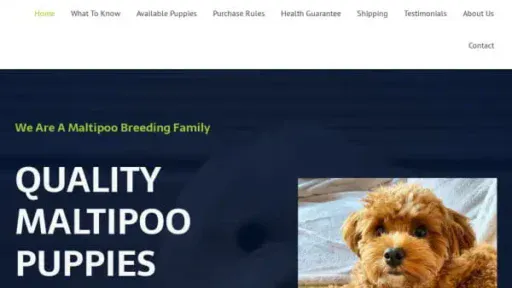 Screenshot of