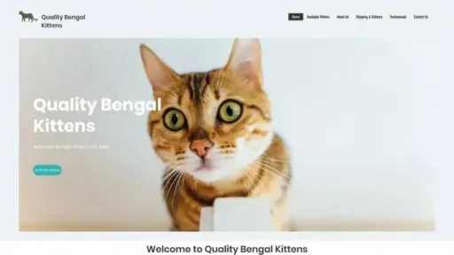 Screenshot of