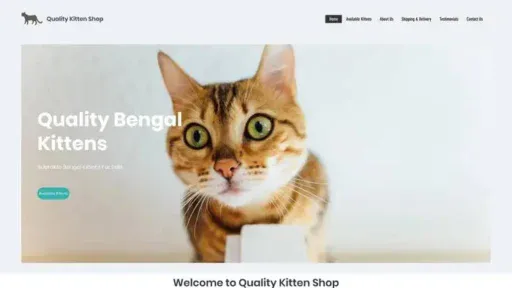 Screenshot of