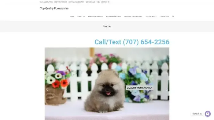 Screenshot of