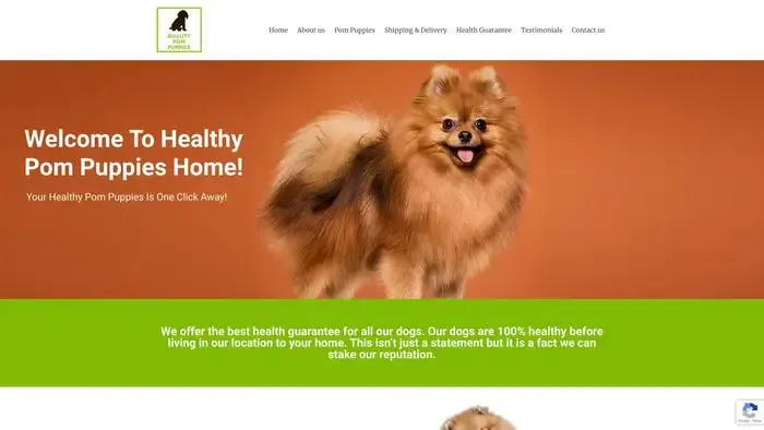 Screenshot of