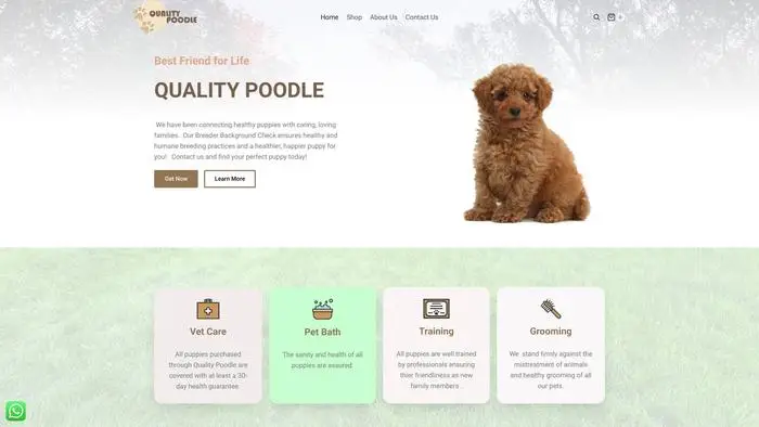 Screenshot of