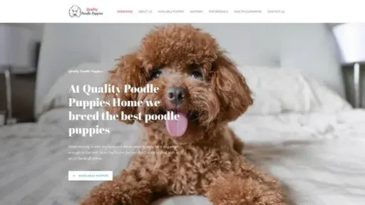 Screenshot of
