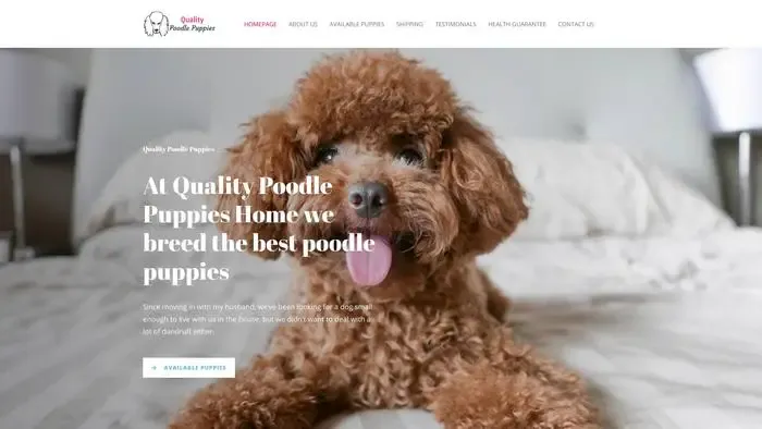 Screenshot of