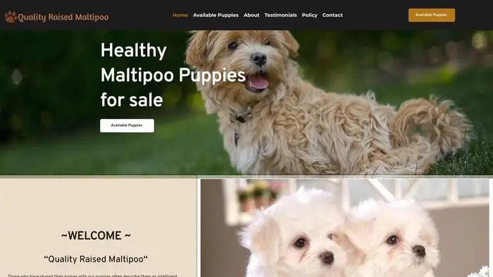 Screenshot of