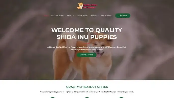Screenshot of