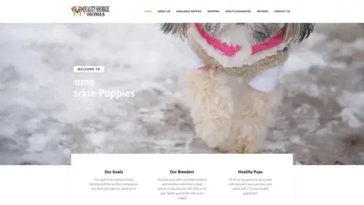 Screenshot of