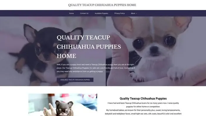 Screenshot of