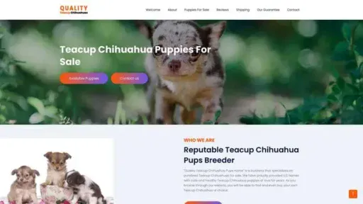 Screenshot of