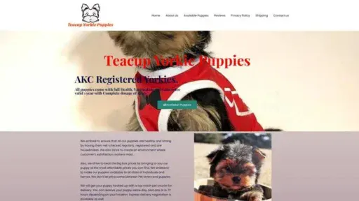 Screenshot of