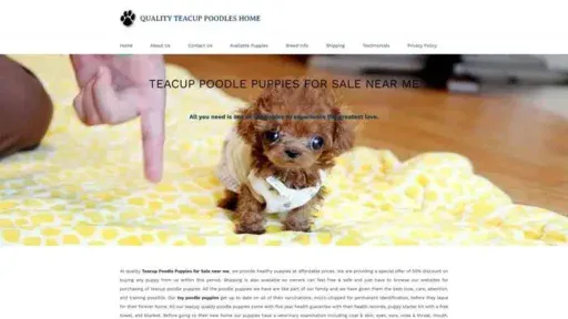 Screenshot of