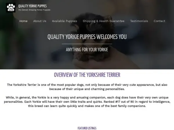 Screenshot of
