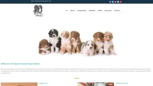 Screenshot of