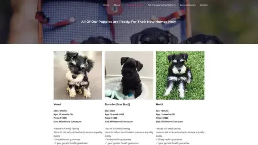 Screenshot of