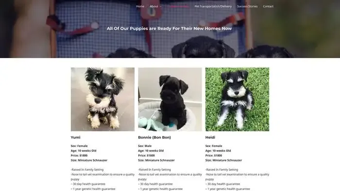 Screenshot of