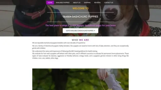 Screenshot of