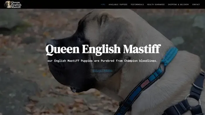 Screenshot of