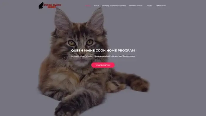 Screenshot of