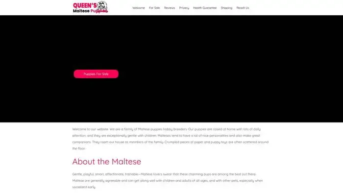 Screenshot of