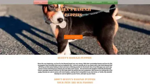 Screenshot of