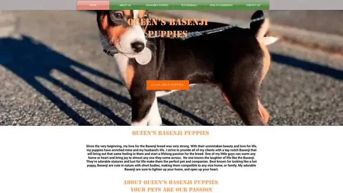 Screenshot of