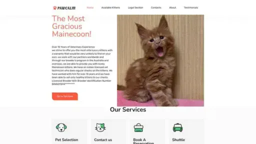 Screenshot of