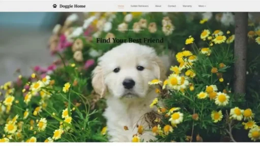 Screenshot of||