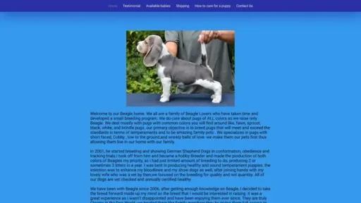 Screenshot of