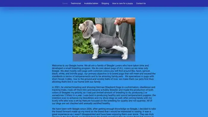 Screenshot of