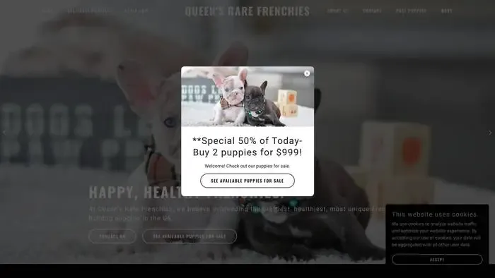 Screenshot of