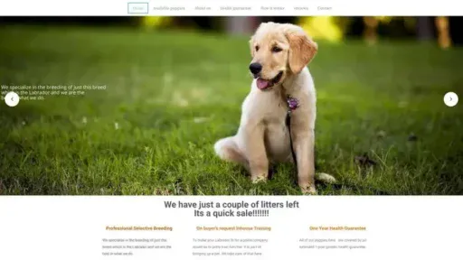 Screenshot of