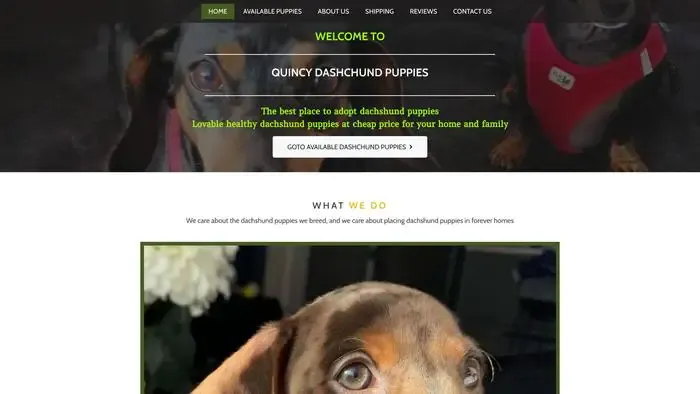 Screenshot of