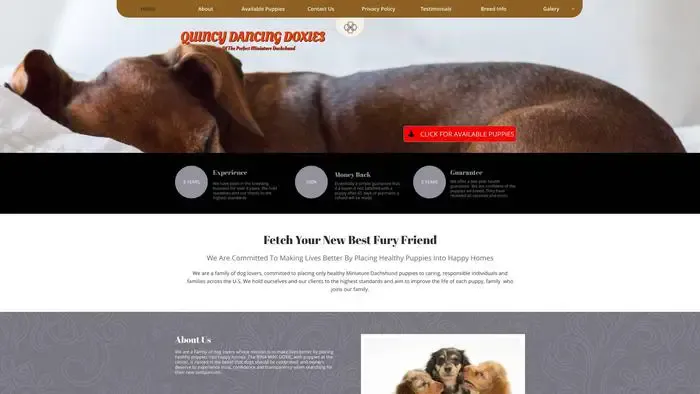 Screenshot of