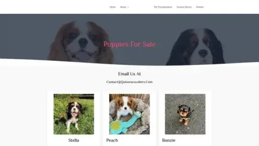 Screenshot of