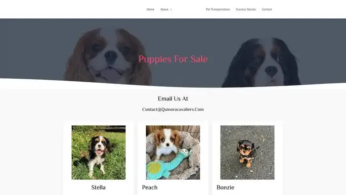 Screenshot of