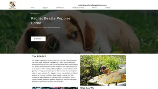 Screenshot of