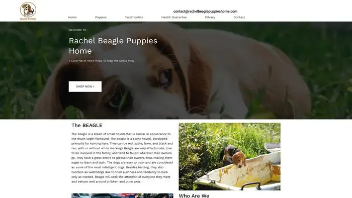 Screenshot of