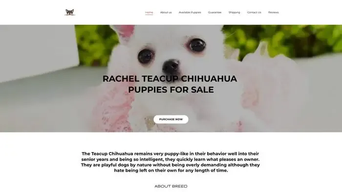 Screenshot of
