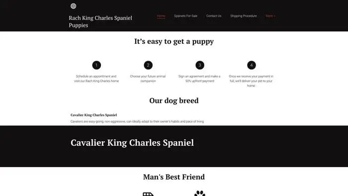 Screenshot of