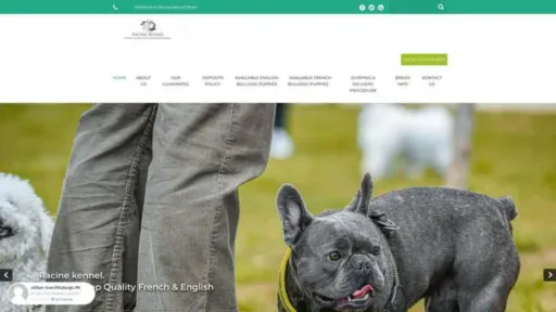 Screenshot of||