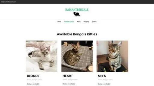Screenshot of