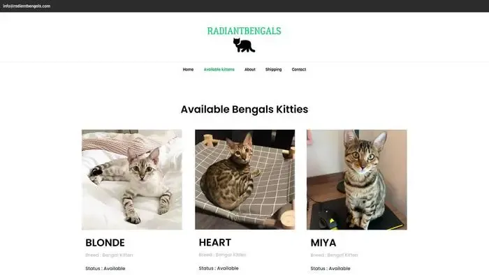 Screenshot of