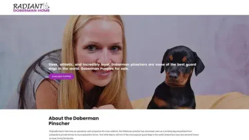 Screenshot of
