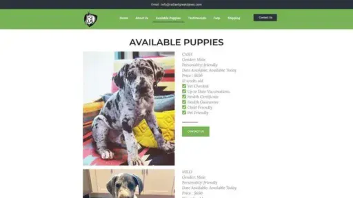 Screenshot of