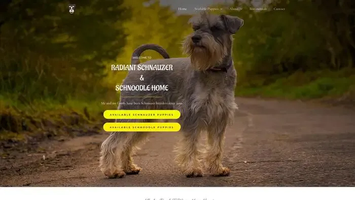 Screenshot of