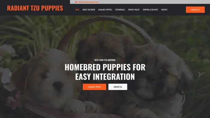 Screenshot of